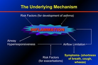 The Underlying Mechanism
INFLAMMATIONINFLAMMATION
Risk Factors (for development of asthma)
Airway
Hyperresponsiveness Airflow Limitation
Symptoms- (shortness
of breath, cough,
wheeze)
Risk Factors
(for exacerbations)
 