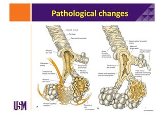Pathological	
  changes	
  

7	
  

 