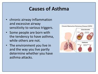 Causes of Asthma
• chronic airway inflammation
and excessive airway
sensitivity to various triggers.
• Some people are born with
the tendency to have asthma,
while others are not.
• The environment you live in
and the way you live partly
determine whether you have
asthma attacks.