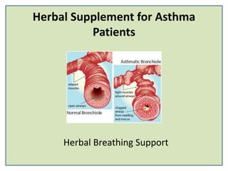 Herbal Supplement for Asthma
Patients
Herbal Breathing Support
 