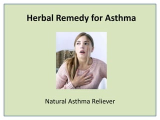 Herbal Remedy for Asthma
Natural Asthma Reliever
 