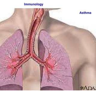 Immunology

             Asthma
 