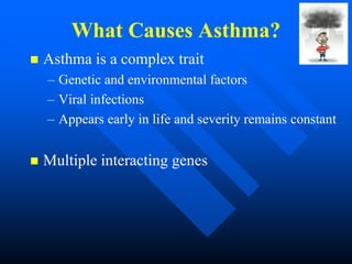 What Causes Asthma?
 Asthma is a complex trait
– Genetic and environmental factors
– Viral infections
– Appears early in life and severity remains constant
 Multiple interacting genes
 