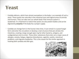 Yeast
• Candida albicans, which lives almost everywhere in the body, is an example of such a
  yeast. These yeasts live naturally in the intestinal tract and vaginal areas of animals
  and humans. They can take over our whole body if the immune system is
  weakened. It is important to realize that yeasts are also protein bodies and can be
  digested by enzymes if the body has a proper supply.

• Candida can change form in the human intes-tines. It can remain in a yeast-fungal
  form and enter the circulation or develop a root structure that pen-etrates the
  intestines, creating a large enough open-ing for other bacteria, antigens, and
  undigested pro-tein to enter. These other substances that enter are a major cause of
  allergies, anxiety, fatigue, digestive disturbances, vaginitis, cystitis, menstrual
  problems, and migraine headaches. This is the reason for the similar approach in
  treating both candida and aller-gies.
 