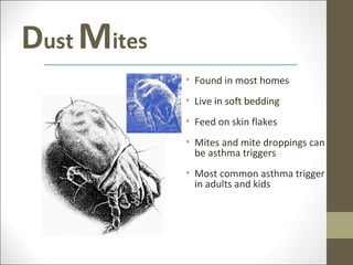 Dust Mites
             • Found in most homes
             • Live in soft bedding
             • Feed on skin flakes
             • Mites and mite droppings can
               be asthma triggers
             • Most common asthma trigger
               in adults and kids
 