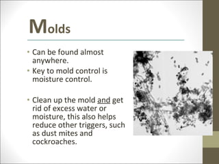 Molds
• Can be found almost
  anywhere.
• Key to mold control is
  moisture control.

• Clean up the mold and get
  rid of excess water or
  moisture, this also helps
  reduce other triggers, such
  as dust mites and
  cockroaches.
 