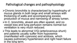 Pathological changes and pathophysiology
Chronic bronchitis is characterized by hypertrophy of
mucus glands in both large and small airways with
thickening of walls and accompanying excess
production of mucus and narrowing of airway lumen.
In C. bronchitis, alveoli are often spared, and no
vessel loss and lung perfusion remains normal but
ventilation is very much reduced.
This leads to abnormal V/Q (arteriovenous shunt)
and patients usually suffer from hypoxemia
(manifested with cyanosis) and acidosis, which
causes pulmonary hypertension and right heart failure
in the long term.
 