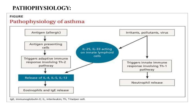 Asthma and COPD PATHOPHYSIOLOGY .pptx