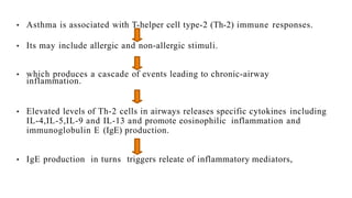 • Asthma is associated with T-helper cell type-2 (Th-2) immune responses.
• Its may include allergic and non-allergic stimuli.
• which produces a cascade of events leading to chronic-airway
inflammation.
• Elevated levels of Th-2 cells in airways releases specific cytokines including
IL-4,IL-5,IL-9 and IL-13 and promote eosinophilic inflammation and
immunoglobulin E (IgE) production.
• IgE production in turns triggers releate of inflammatory mediators,
 