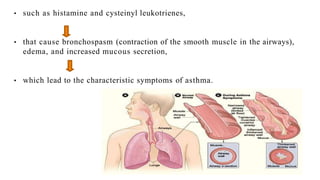 • such as histamine and cysteinyl leukotrienes,
• that cause bronchospasm (contraction of the smooth muscle in the airways),
edema, and increased mucous secretion,
• which lead to the characteristic symptoms of asthma.
 