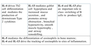 IL-4 drives Th2
cell differentiation
and mediates the
production of
downstream Type
2 cytokines
IL-13 mediates goblet
cell hyperplasia and
increased mucus
secretion , and
promotes airway
obstruction , bronchial
hyperactivity, smooth
muscle hypertrophy ,
and airway
remodelling.
IL-4 and IL-13 play
an important role in
class switching of B
cells to produce IgE.
IL-5 mediates the differentiation of eosinophils in bone marrow;
IL-4 and IL-13 drive the tracking of eosinophils to sites of inflammation.
 