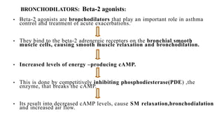 BRONCHODILATORS: Beta-2 agonists:
• Beta-2 agonists are bronchodilators that play an important role in asthma
control and treatment of acute exacerbations.
• They bind to the beta-2 adrenergic receptors on the bronchial smooth
muscle cells, causing smooth muscle relaxation and bronchodilation.
• Increased levels of energy –producing cAMP.
• This is done by competitively inhibiting phosphodiesterase(PDE) ,the
enzyme, that breaks the cAMP.
• Its result into decreased cAMP levels, cause SM relaxation,bronchodialation
and increased air flow.
 