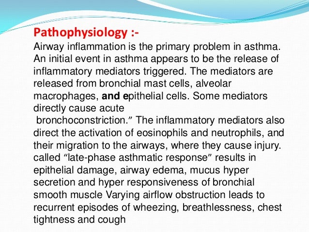 Asthma For Nurses - Asthma Lung Disease