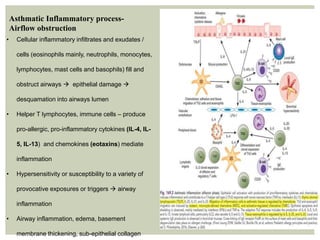 Pathophysio Sample asthma basics, pathophysio,phenotypes.pdf