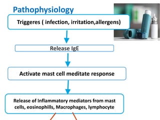 Pathophysiology
Release IgE
Activate mast cell meditate response
Release of Inflammatory mediators from mast
cells, eosinophills, Macrophages, lymphocyte
Triggeres ( infection, irritation,allergens)
 