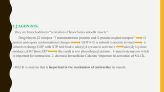 β 2 AGONISTS:
They are bronchodilators “relaxation of bronchioles smooth muscle”.
Drug bind to β2 receptor “7 transmembrane proteins and G protein coupled receptor” G
protein undergoes conformational changes GDP with α subunit dissociate to bind α
subunit exchange GDP with GTP and bind to adenylyl cyclase to activate it adenylyl cyclase
produce cAMP from ATP the result is tow physiological actions : 1- inactivate myosin witch
is important for contraction. 2- decrease intracellular Calcium “important in activation of MLCK.
- MLCK is enzyme that is important in the mechanism of contraction in muscle.
 