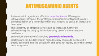 ANTIMUSCARINIC AGENTS
Antimuscarinic agents are effective bronchodilators. When given
intravenously, atropine, the prototypical muscarinic antagonist, causes
bronchodilation at a lower dose than that needed to cause an increase in
heart rate.
The selectivity of atropine’s effect can be increased further by
administering the drug by inhalation or by use of a more selective
quaternary
ammonium derivative of atropine, ipratropium bromide.
Ipratropium can be delivered in high doses by this route because it is
poorly absorbed into the circulation and does not readily enter the central
nervous system.
 
