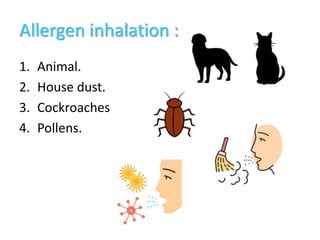 Allergen Inhalation Asthma & TB | PPTX
