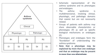 • Schematic representation of the
asthma syndrome and its phenotypes
and endotypes.
• The asthma syndrome is
multidimensional, involving clinical,
physiologic, and pathologic domains
that coexist but are not necessarily
related.
• Groups of patients with asthma may
share observable characteristics or
phenotypes (P) as well as specific
biological mechanisms or endotypes
(E).
• Phenotypes and endotypes form the
‘foundation’ of understanding the
asthma syndrome.
• Note that a phenotype may be
explained by more than one endotype
and that an endotype may be present
in more than one phenotype.
 