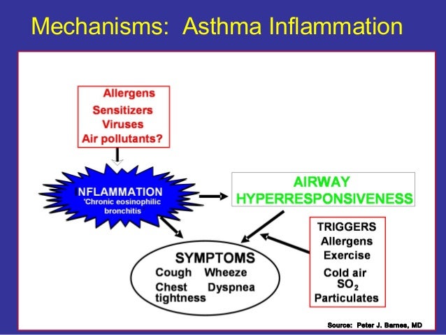 inflammatory mediators of asthma health essay Asthma is a chronic inflammatory disorder of the airways they in turn induce the production of mediators of inflammation (such as histamine and leukotrienes) and cytokines what constitutes an adverse health effect of air pollution. inflammatory mediators of asthma health essay Asthma is a chronic inflammatory disorder of the airways they in turn induce the production of mediators of inflammation (such as histamine and leukotrienes) and cytokines what constitutes an adverse health effect of air pollution.