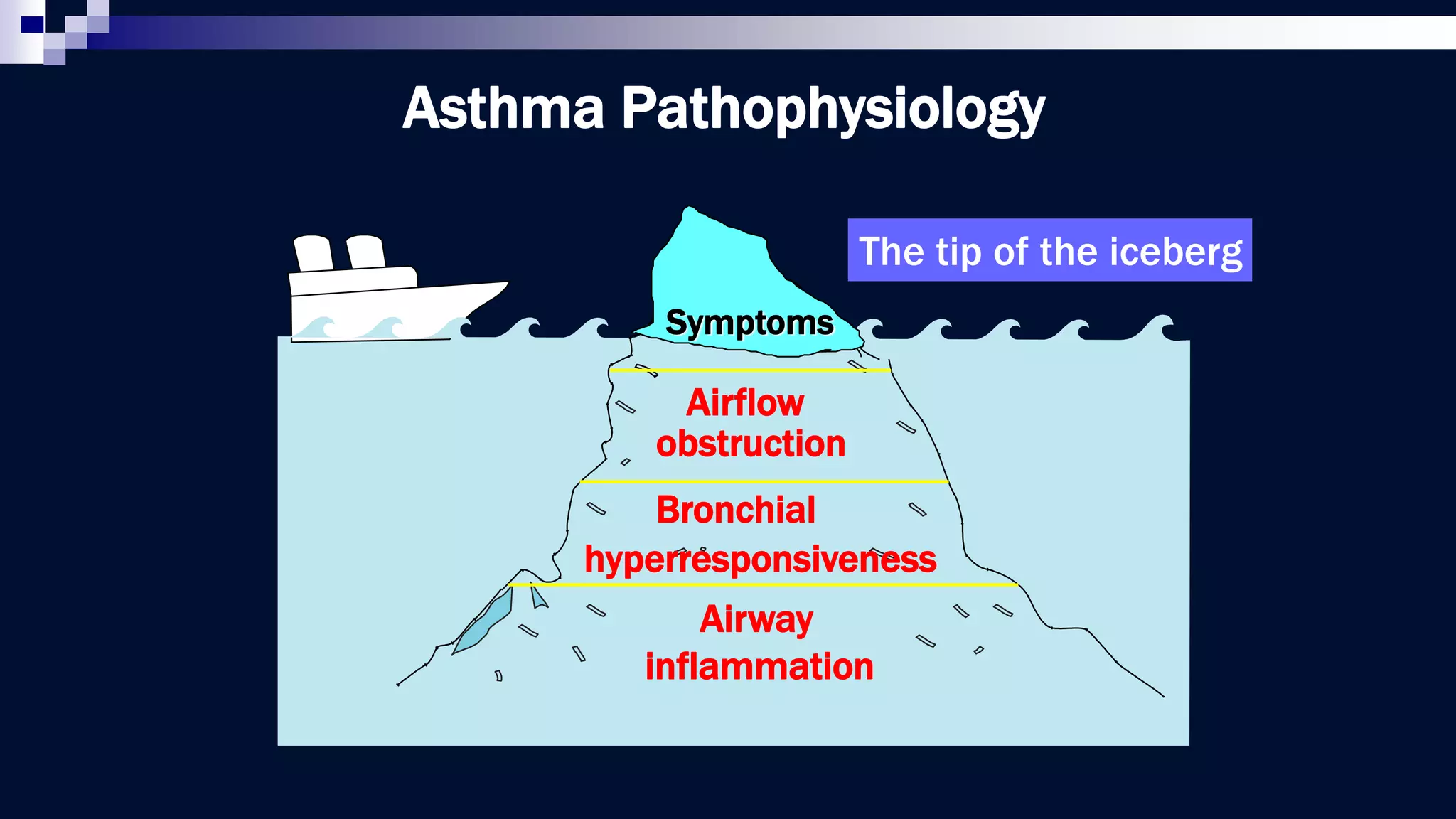 Airway
inflammation
Airflow
obstruction
Bronchial
hyperresponsiveness
Symptoms
Asthma Pathophysiology
The tip of the iceberg
 