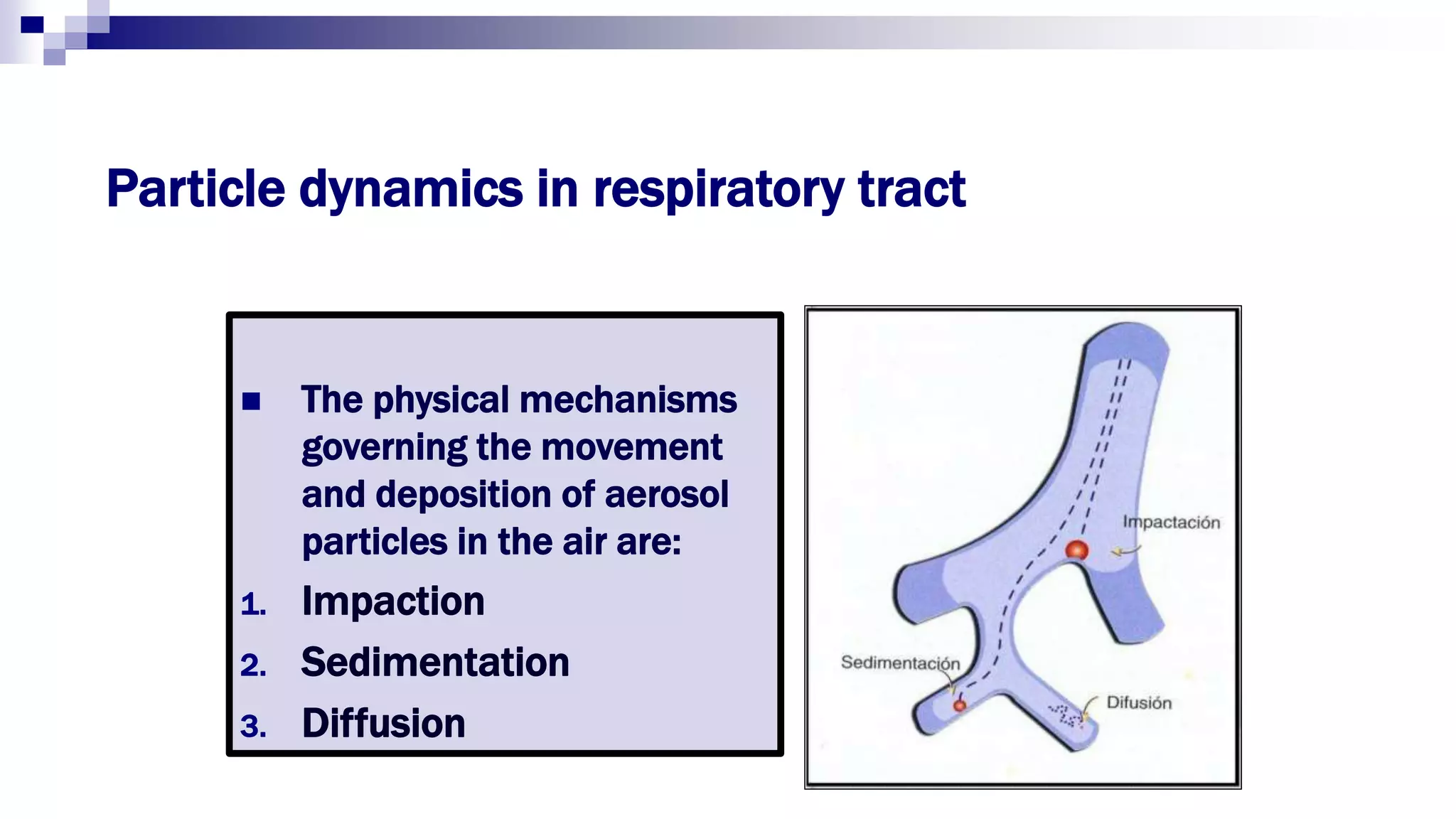 Particle dynamics in respiratory tract
 The physical mechanisms
governing the movement
and deposition of aerosol
particles in the air are:
1. Impaction
2. Sedimentation
3. Diffusion
 