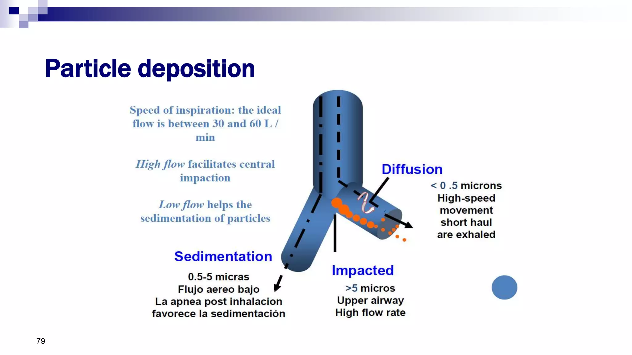 Particle deposition
79
 