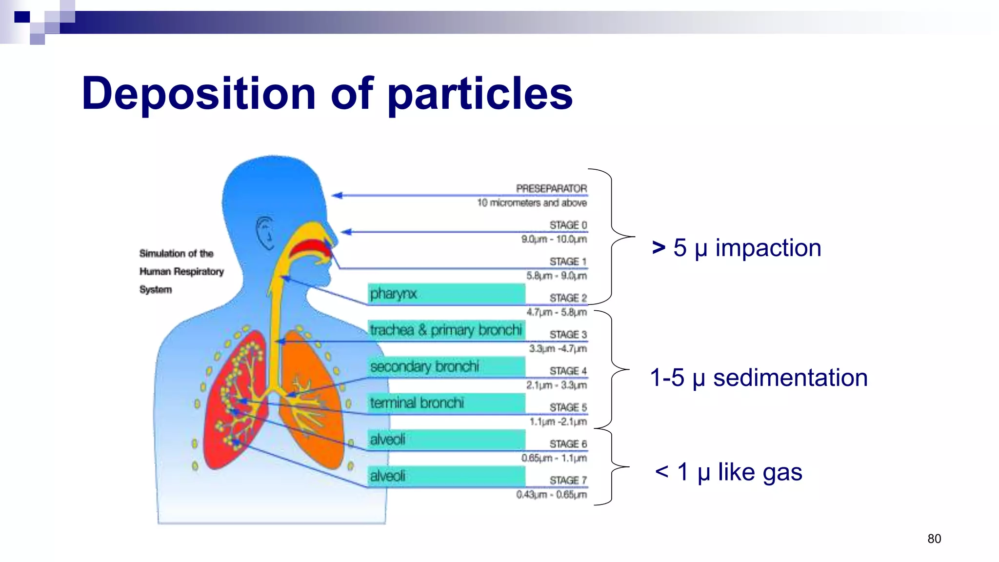80
Deposition of particles
> 5 µ impaction
1-5 µ sedimentation
< 1 µ like gas
 
