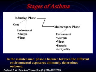 Stages of Asthma
In the maintenance phase a balance between the different
environmental exposures ultimately determines
outcome.
Gelfand E W .Proc Am Thorac Soc (6 ) 278–282,2009
 