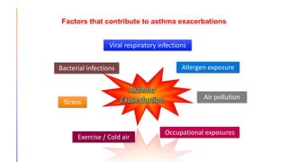 Factors that contribute to asthma exacerbations
Viral respiratory infections
Allergen exposure
Air pollution
Exercise / Cold air
Stress
Bacterial infections
Occupational exposures
 