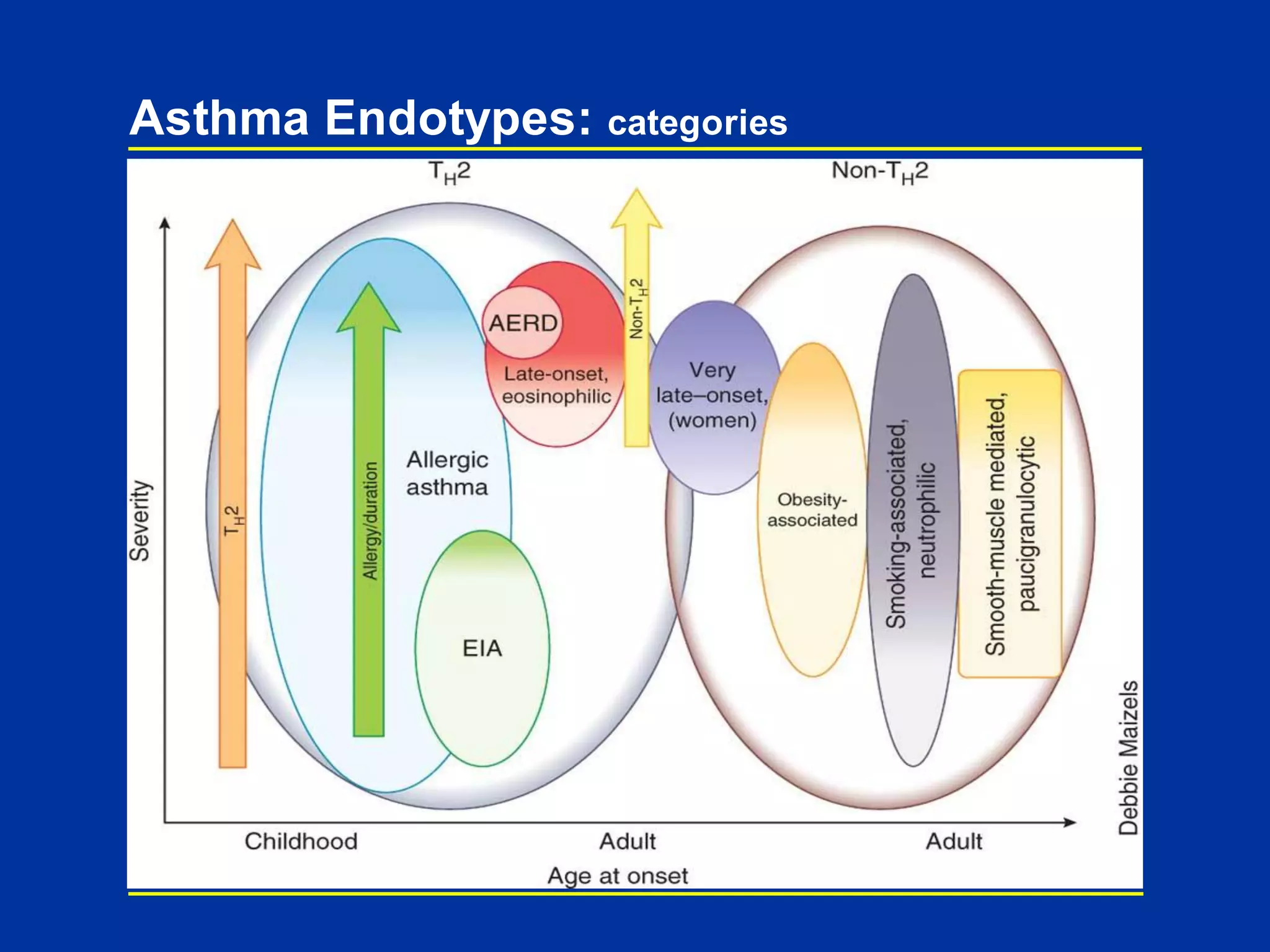Asthma Endotypes: categories
 