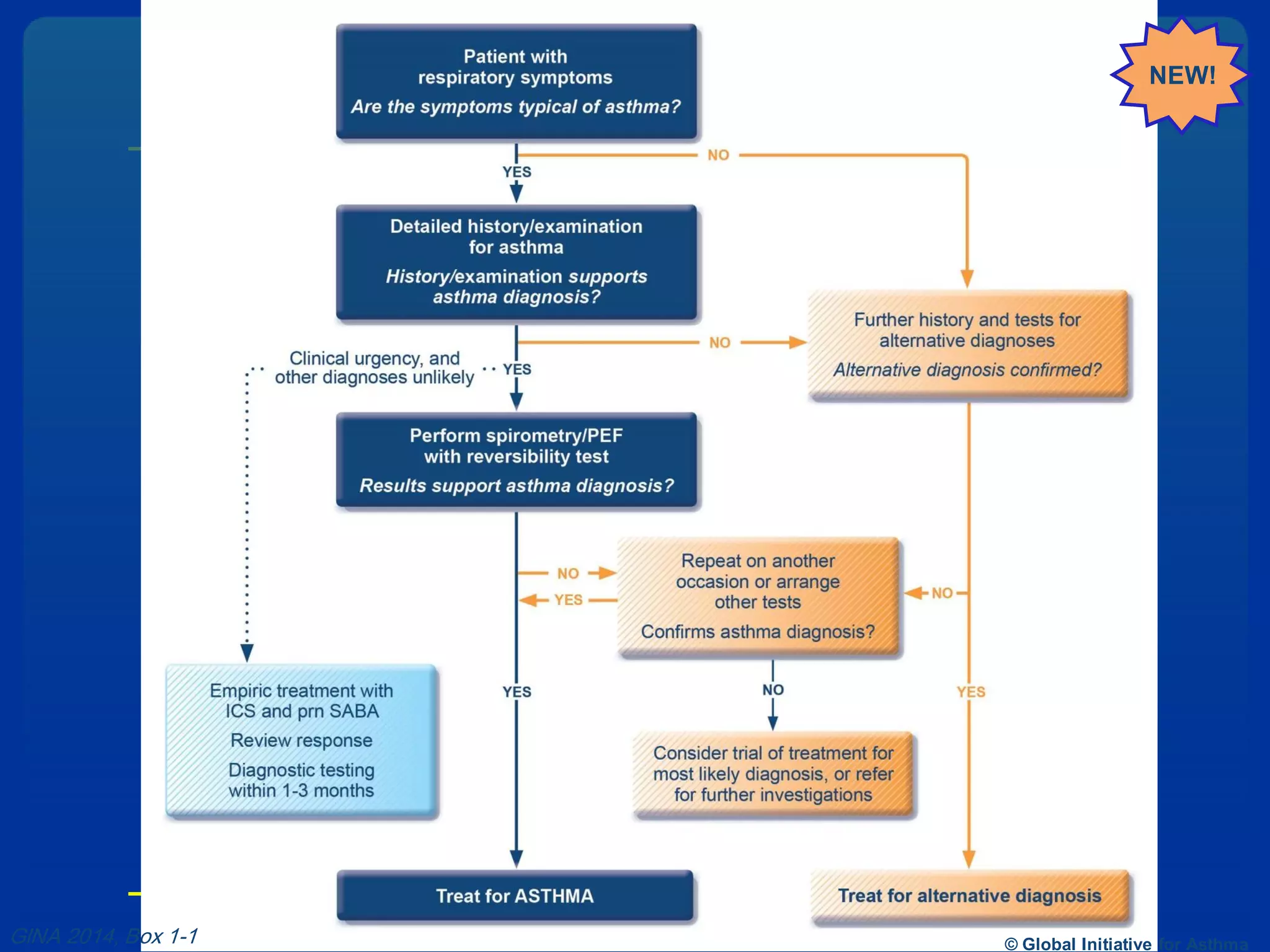 GINA 2014, Box 1-1 © Global Initiative for Asthma
NEW!
 