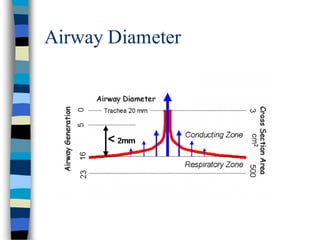 Airway Diameter
 