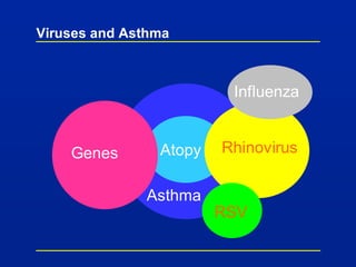 Viruses and Asthma
Atopy
Asthma
Rhinovirus
RSV
Genes
Influenza
 