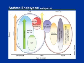 Asthma Endotypes: categories
 