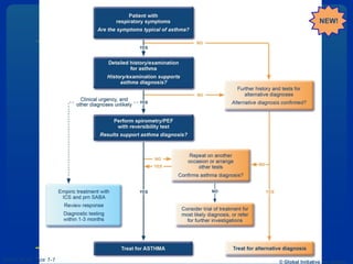GINA 2014, Box 1-1 © Global Initiative for Asthma
NEW!
 