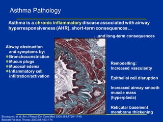 Asthma Pathology
Asthma is a chronic inflammatory disease associated with airway
hyperresponsiveness (AHR), short-term consequences…
Airway obstruction
and symptoms by:
Bronchoconstriction
Mucus plugs
Mucosal edema
Inflammatory cell
infiltration/activation
Remodelling:
Increased vascularity
Epithelial cell disruption
Increased airway smooth
muscle mass
(hyperplasia)
Reticular basement
membrane thickening
…and long-term consequences
Bousquet J et al. Am J Respir Crit Care Med 2000;161:1720–1745;
Beckett PA et al. Thorax 2003;58:163–174
 