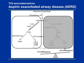 Asthma management phenotype based approach