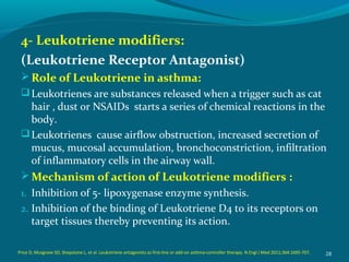 4- Leukotriene modifiers:
(Leukotriene Receptor Antagonist)
Role of Leukotriene in asthma:
Leukotrienes are substances released when a trigger such as cat
hair , dust or NSAIDs starts a series of chemical reactions in the
body.
Leukotrienes cause airflow obstruction, increased secretion of
mucus, mucosal accumulation, bronchoconstriction, infiltration
of inflammatory cells in the airway wall.
Mechanism of action of Leukotriene modifiers :
1. Inhibition of 5- lipoxygenase enzyme synthesis.
2. Inhibition of the binding of Leukotriene D4 to its receptors on
target tissues thereby preventing its action.
28Price D, Musgrave SD, Shepstone L, et al. Leukotriene antagonists as first-line or add-on asthma-controller therapy. N Engl J Med 2011;364:1695-707.
 