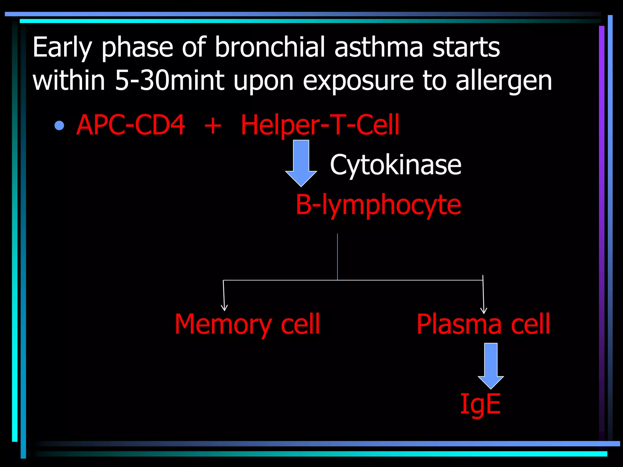 Early phase of bronchial asthma starts
within 5-30mint upon exposure to allergen
• APC-CD4 + Helper-T-Cell
Cytokinase
B-lymphocyte
Memory cell Plasma cell
IgE
 