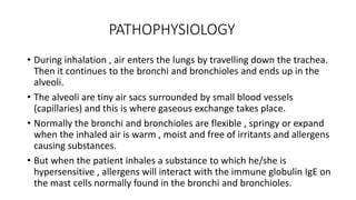 PATHOPHYSIOLOGY
• During inhalation , air enters the lungs by travelling down the trachea.
Then it continues to the bronchi and bronchioles and ends up in the
alveoli.
• The alveoli are tiny air sacs surrounded by small blood vessels
(capillaries) and this is where gaseous exchange takes place.
• Normally the bronchi and bronchioles are flexible , springy or expand
when the inhaled air is warm , moist and free of irritants and allergens
causing substances.
• But when the patient inhales a substance to which he/she is
hypersensitive , allergens will interact with the immune globulin IgE on
the mast cells normally found in the bronchi and bronchioles.
 