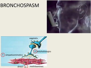 BRONCHOSPASM
anticholinergics
simpaticomimetics
methilxantines
2
3
vegetativ
direct
 