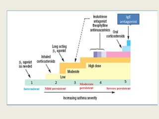 cromones
R
1 2 3 4 5
IgE
antagonist
 