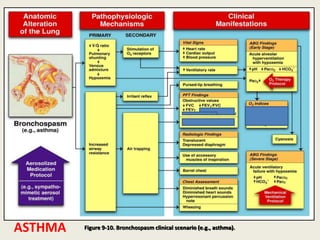 Figure 9-10. Bronchospasm clinical scenario (e.g., asthma).
ASTHMA
 