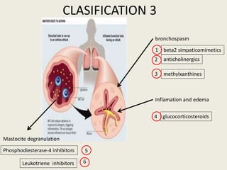bronchospasm
anticholinergics
methylxanthines
beta2 simpaticomimetics
Inflamation and edema
glucocorticosteroids
Mastocite degranulation
Phosphodiesterase-4 inhibitors
1
2
3
4
5
Leukotriene inhibitors 6
CLASIFICATION 3
 