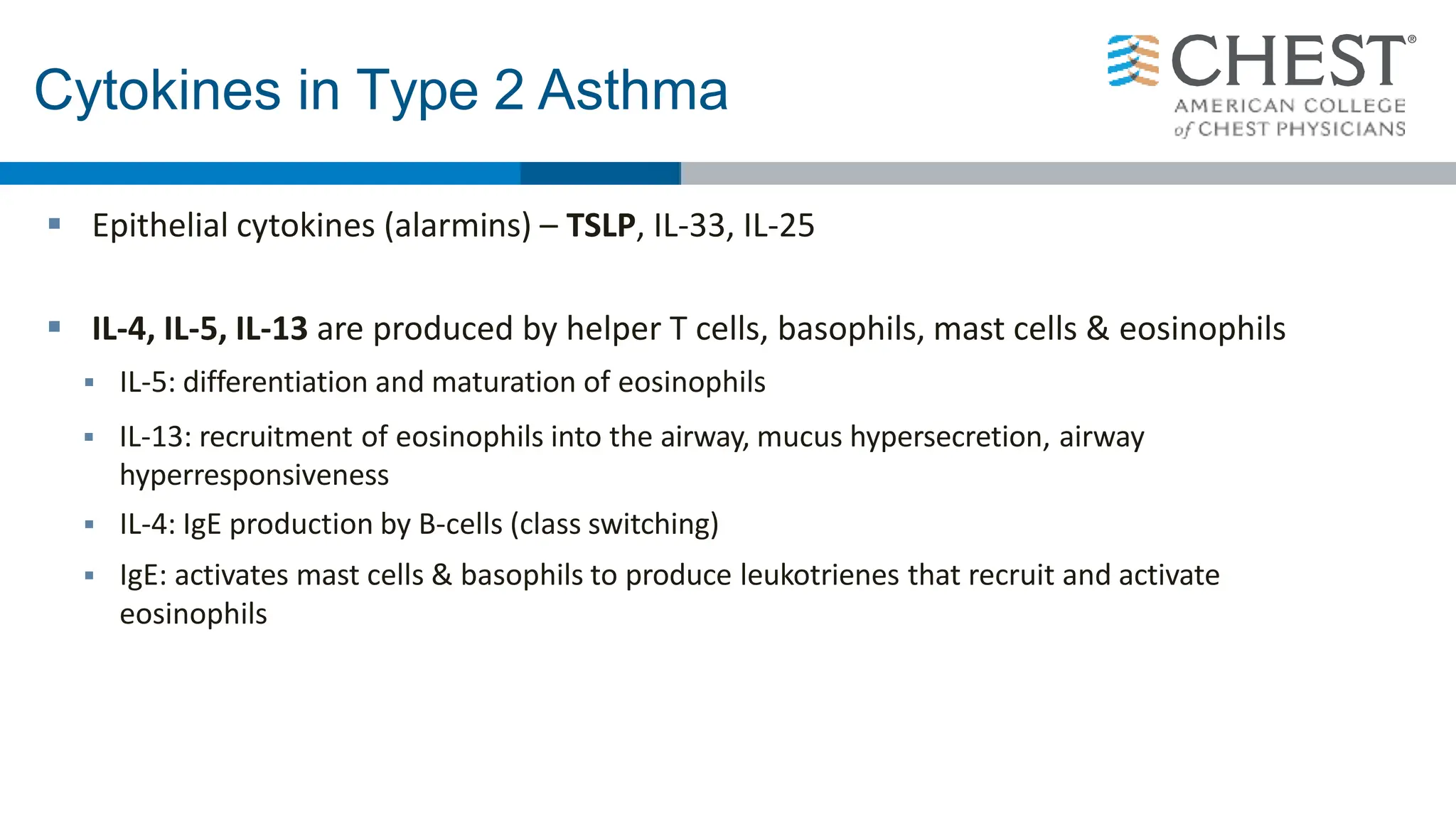 Cytokines in Type 2 Asthma
 Epithelial cytokines (alarmins) – TSLP, IL-33, IL-25
 IL-4, IL-5, IL-13 are produced by helper T cells, basophils, mast cells & eosinophils
 IL-5: differentiation and maturation of eosinophils
 IL-13: recruitment of eosinophils into the airway, mucus hypersecretion, airway
hyperresponsiveness
 IL-4: IgE production by B-cells (class switching)
 IgE: activates mast cells & basophils to produce leukotrienes that recruit and activate
eosinophils
 