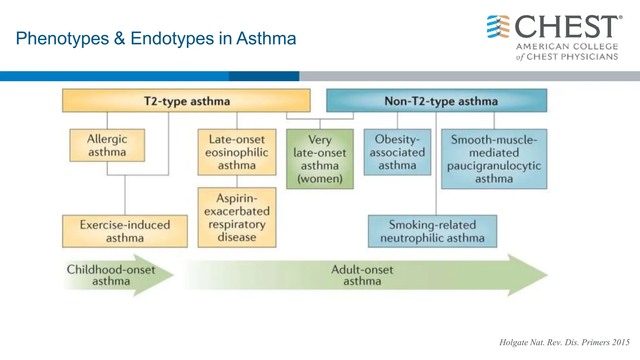 Holgate Nat. Rev. Dis. Primers 2015
Phenotypes & Endotypes in Asthma
 