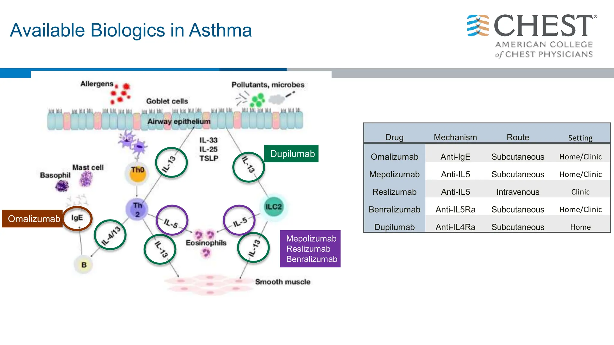 Available Biologics in Asthma
Drug Mechanism Route Setting
Omalizumab Anti-IgE Subcutaneous Home/Clinic
Mepolizumab Anti-IL5 Subcutaneous Home/Clinic
Reslizumab Anti-IL5 Intravenous Clinic
Benralizumab Anti-IL5Ra Subcutaneous Home/Clinic
Dupilumab Anti-IL4Ra Subcutaneous Home
Omalizumab
Dupilumab
Mepolizumab
Reslizumab
Benralizumab
 