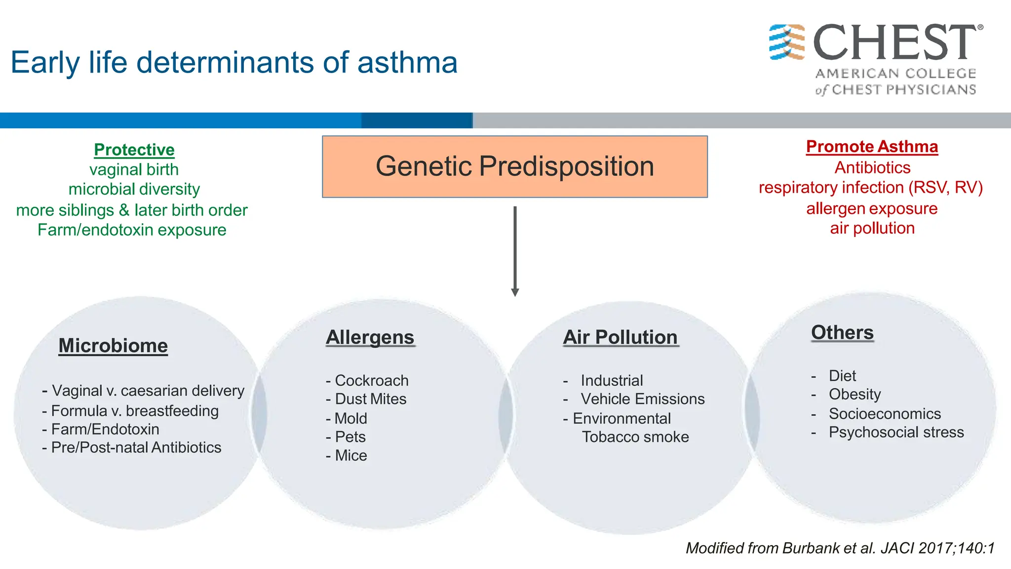 Early life determinants of asthma
Allergens
- Cockroach
- Dust Mites
- Mold
- Pets
- Mice
Air Pollution
- Industrial
- Vehicle Emissions
- Environmental
Tobacco smoke
Others
- Diet
- Obesity
- Socioeconomics
- Psychosocial stress
Genetic Predisposition
Microbiome
- Vaginal v. caesarian delivery
- Formula v. breastfeeding
- Farm/Endotoxin
- Pre/Post-natal Antibiotics
Protective
vaginal birth
microbial diversity
more siblings & later birth order
Farm/endotoxin exposure
Promote Asthma
Antibiotics
respiratory infection (RSV, RV)
allergen exposure
air pollution
Modified from Burbank et al. JACI 2017;140:1
 