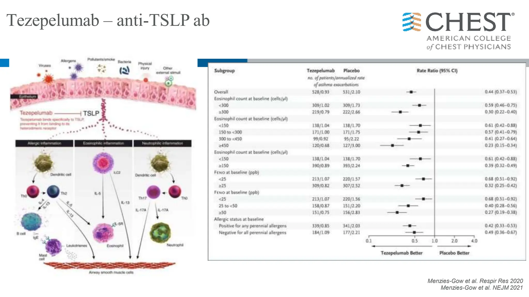 Tezepelumab – anti-TSLP ab
Menzies-Gow et al. Respir Res 2020
Menzies-Gow et al. NEJM 2021
 